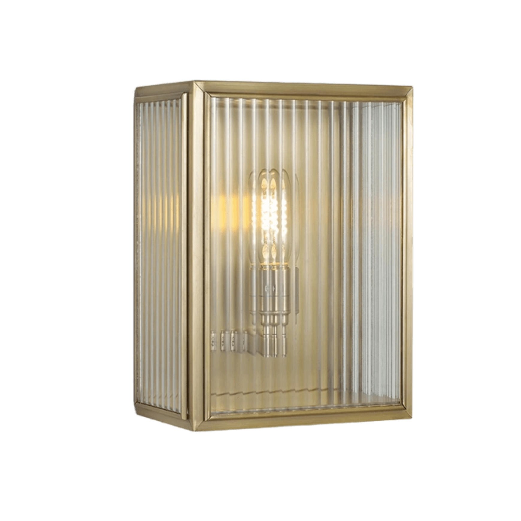 Birch Wall Light