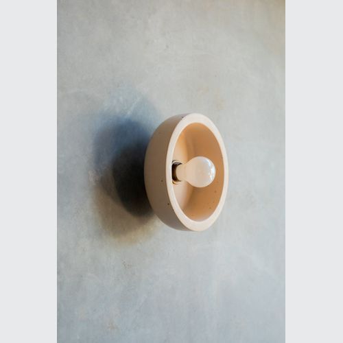 Small Hakea sconce