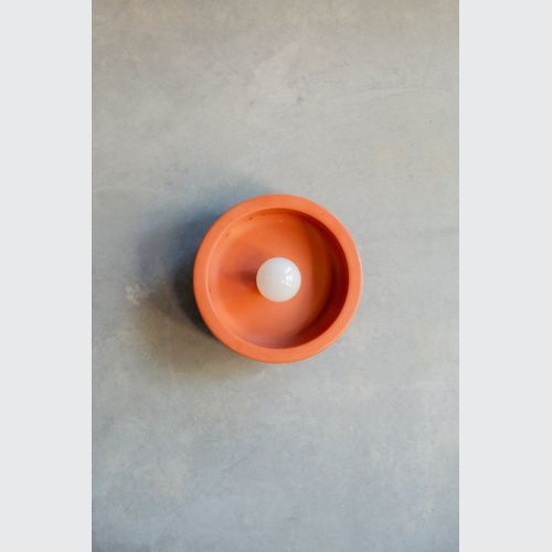 Small Hakea sconce