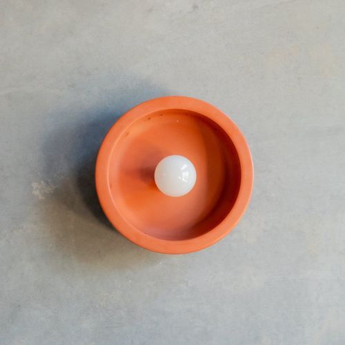 Small Hakea sconce