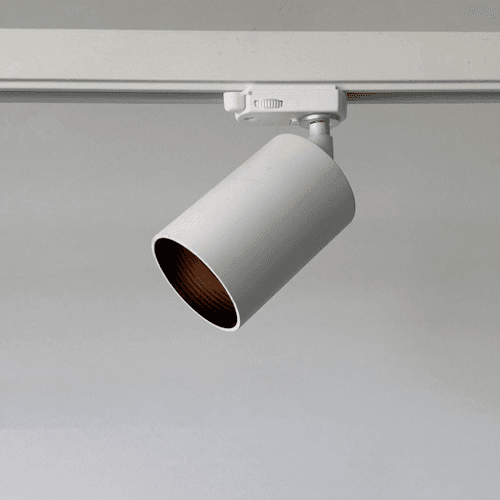 Apollo GU10 Gallery Wall Light