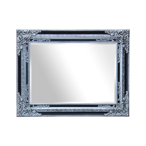 F22 Grenoble Mirror