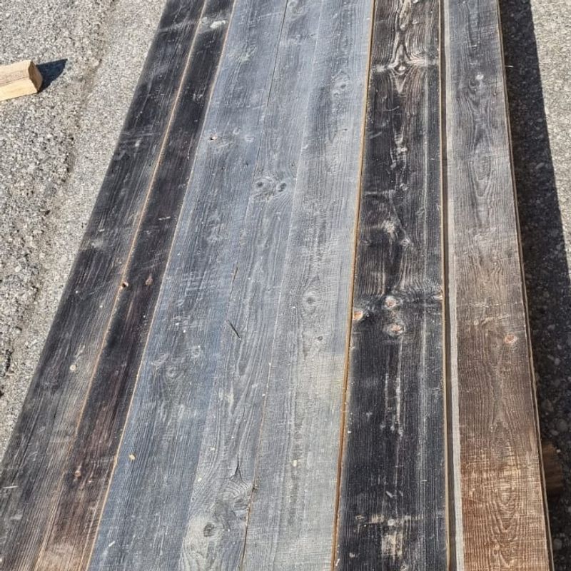 Baltic Pine