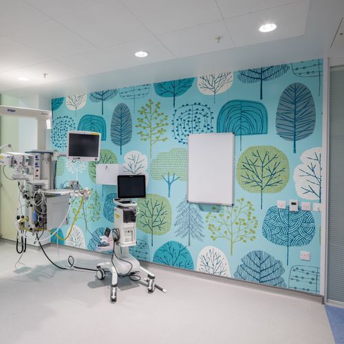 Altro Whiterock Digiclad™ Custom Printed Hygienic Wall Lining