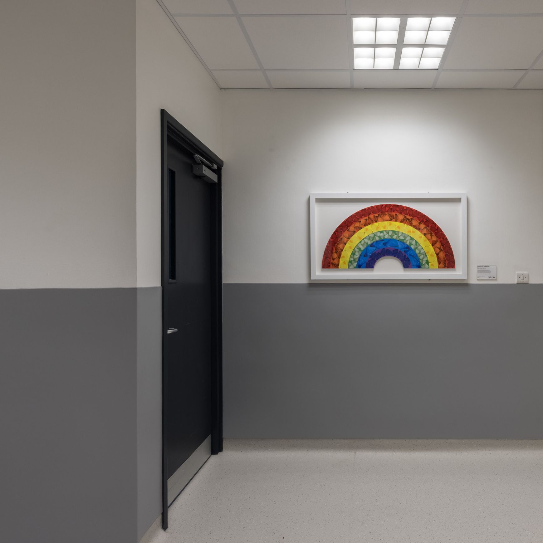 Altro Fortis Titanium 15™ Wall Protection