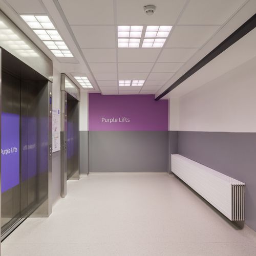 Altro Fortis Titanium 15™ Wall Protection