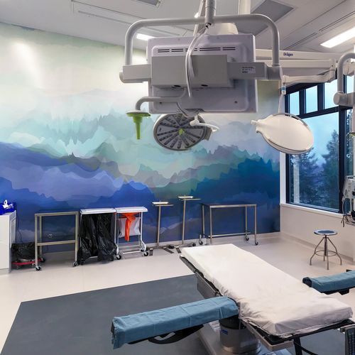 Altro Whiterock Digiclad™ Custom Printed Hygienic Wall Lining