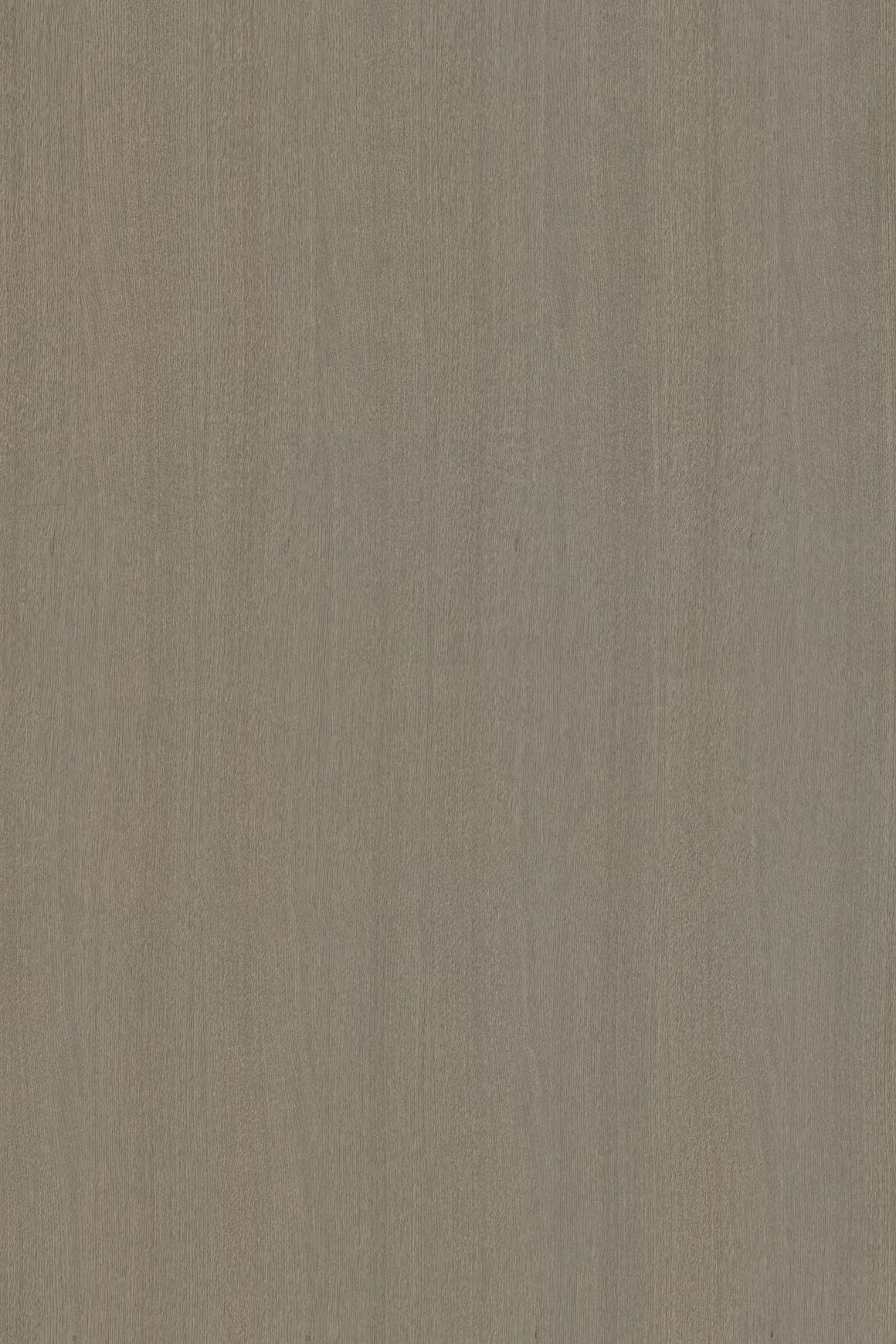 Alor Asta Oak 1F1B 2440mm Veneer Panel
