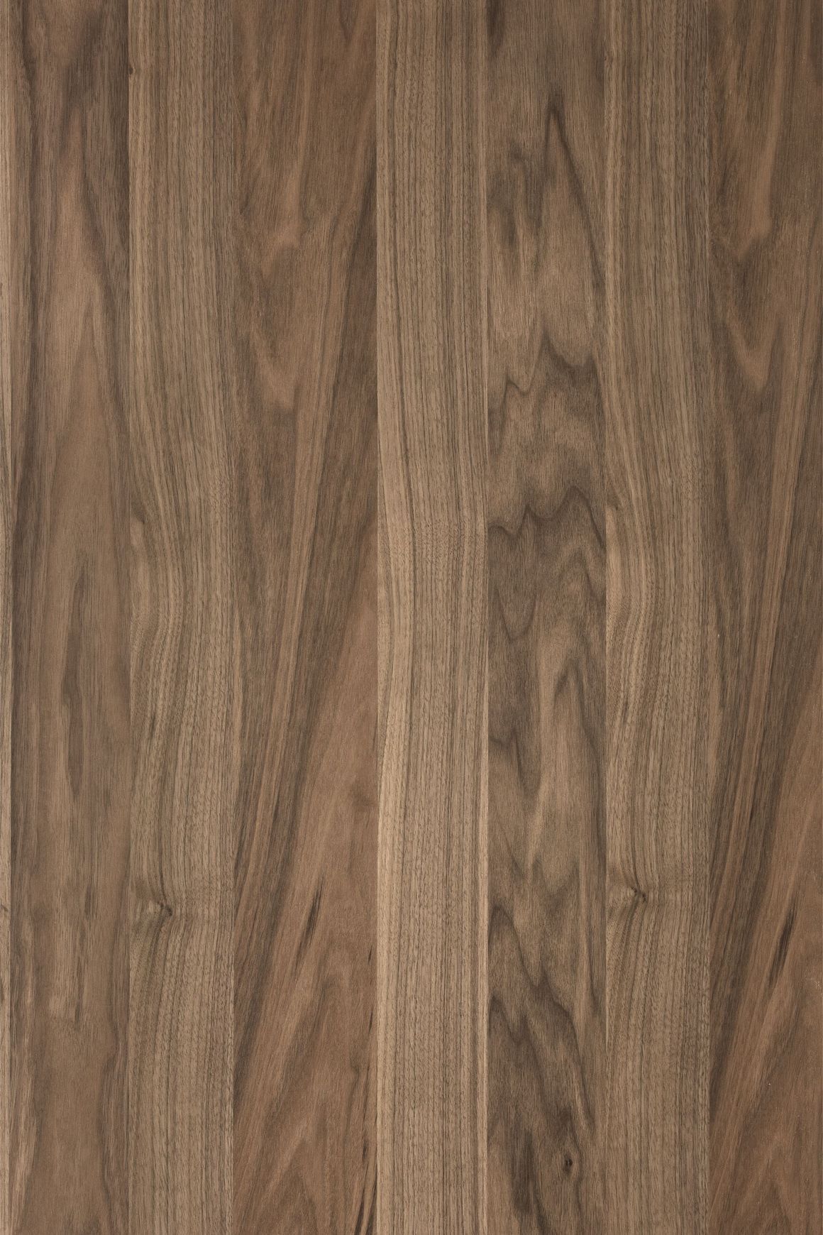Alor Ember Veneer Panel