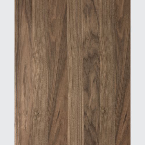 Alor Ember Veneer Panel