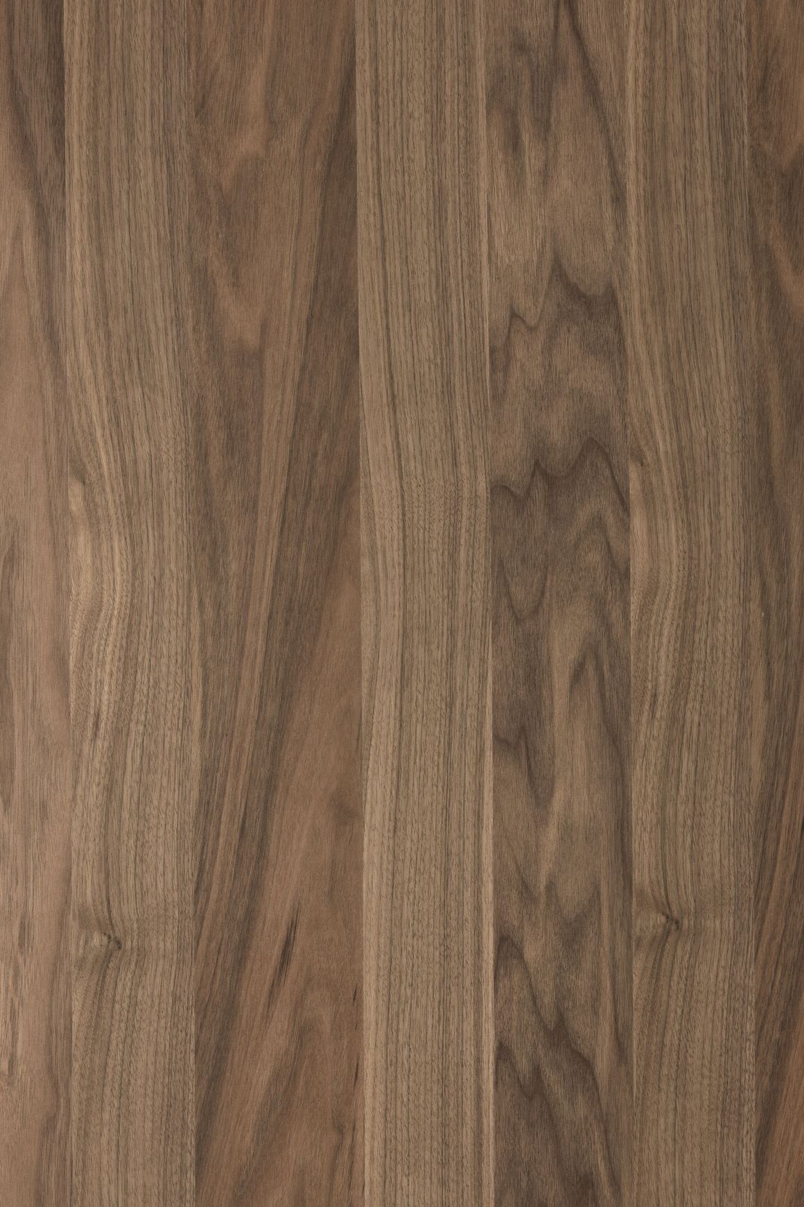 Alor Ember Veneer Panel