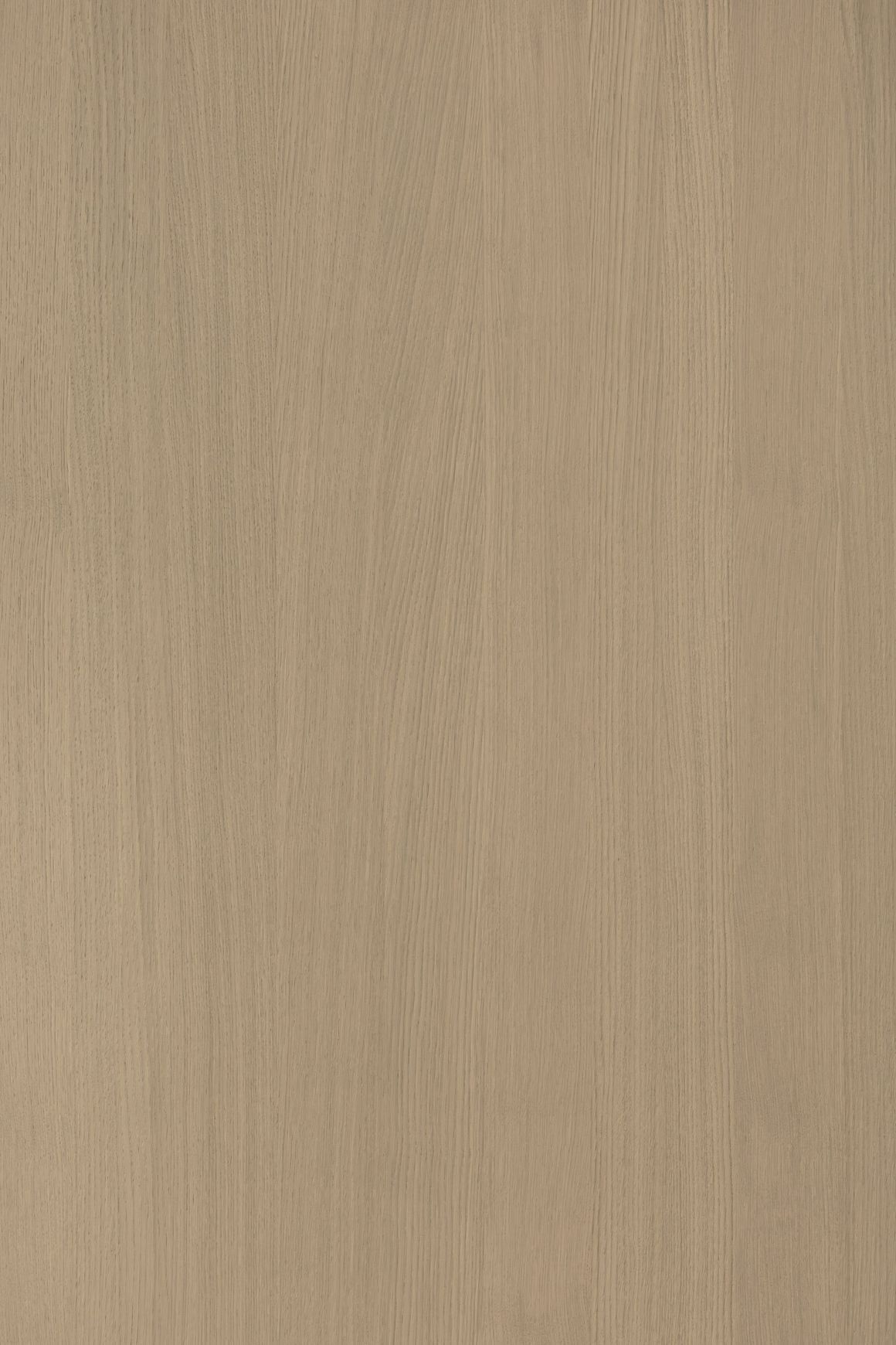 Alor Solis Oak 1F1B 3050mm Veneer Panel