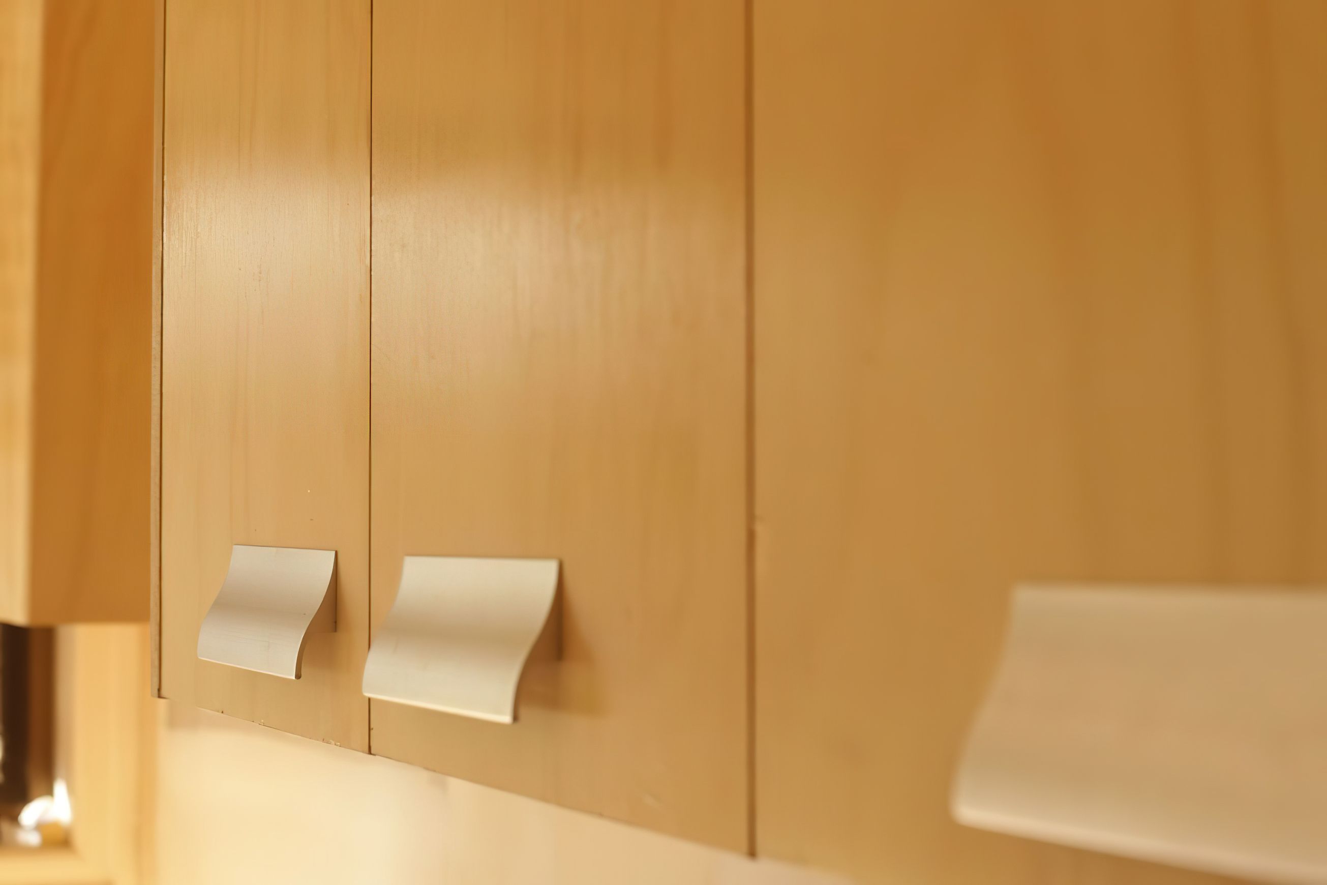 Austral Door Panel | Appearance panel for cabinetry