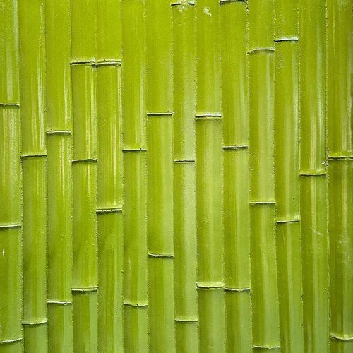 Bamboo Panel Realistic Wall Panels