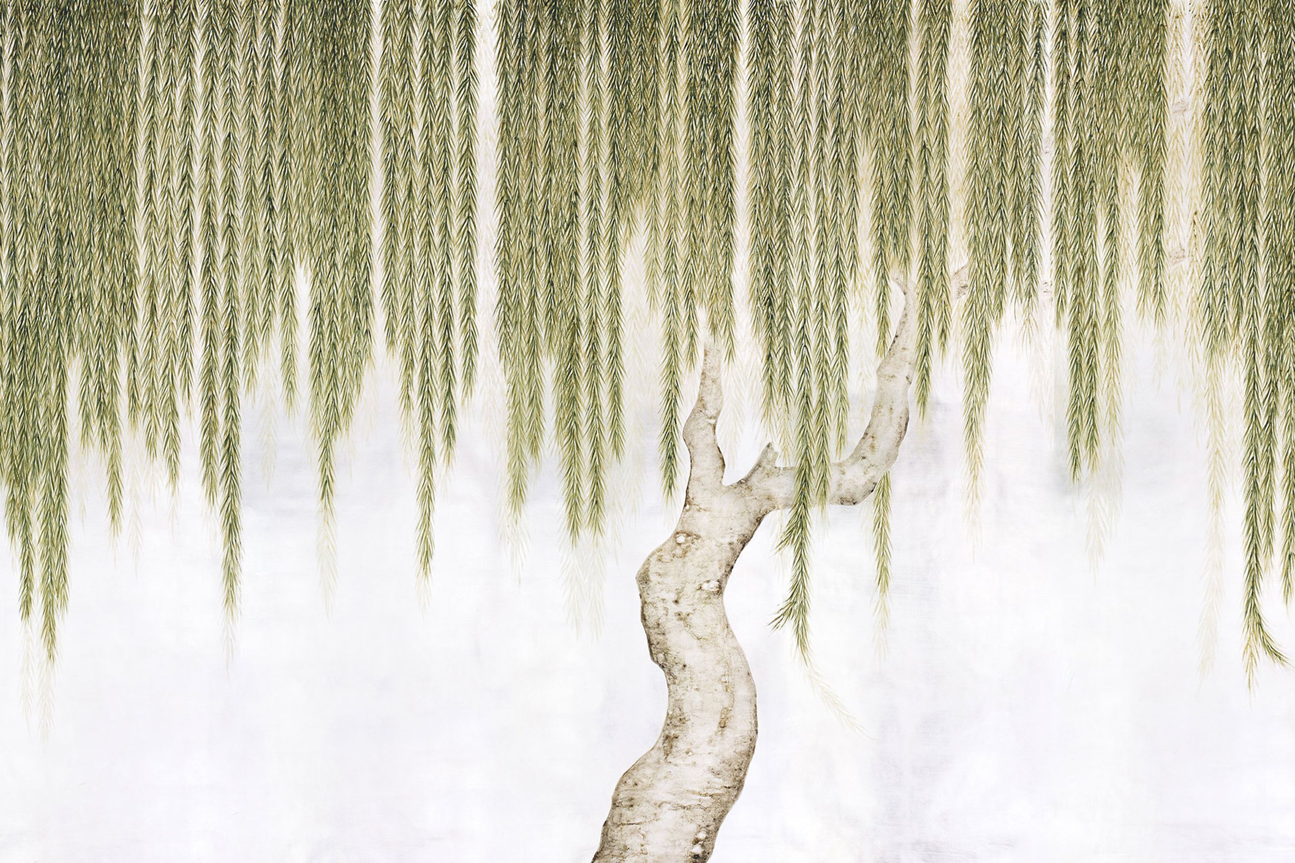 De Gournay Willow | Wallpaper
