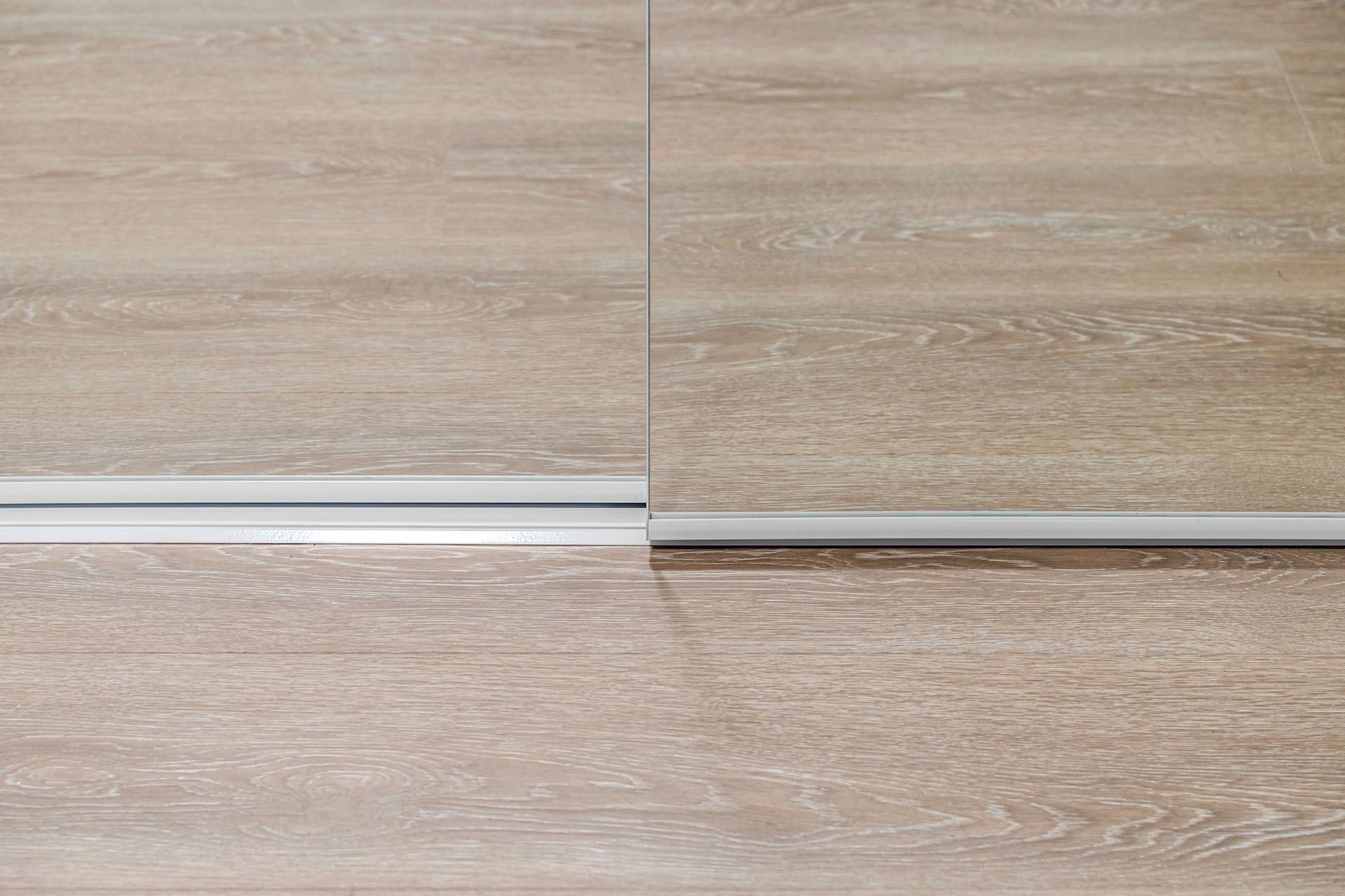 Frameless Mirror Doors