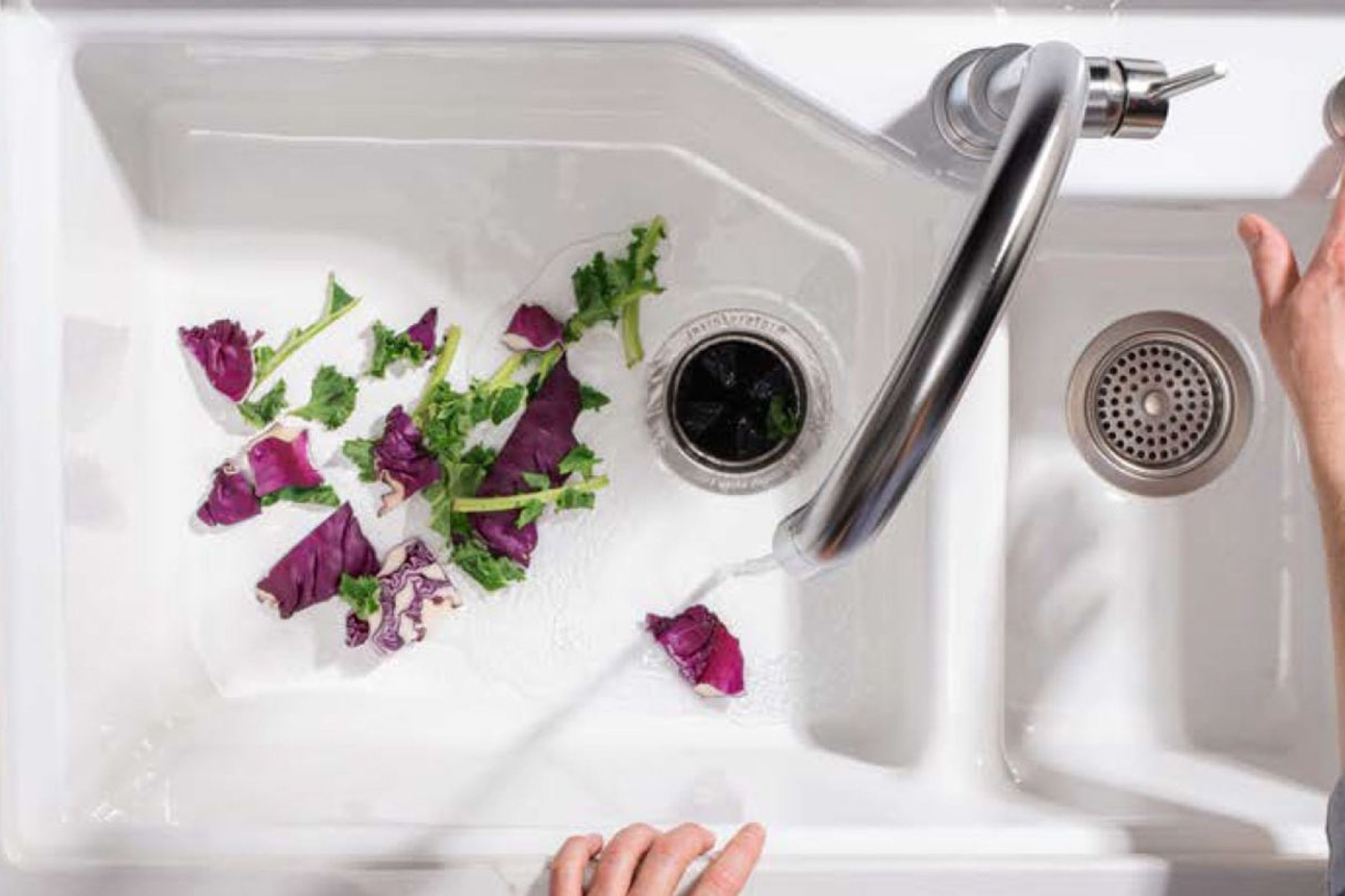 Evolution 200 | Food Waste Disposer