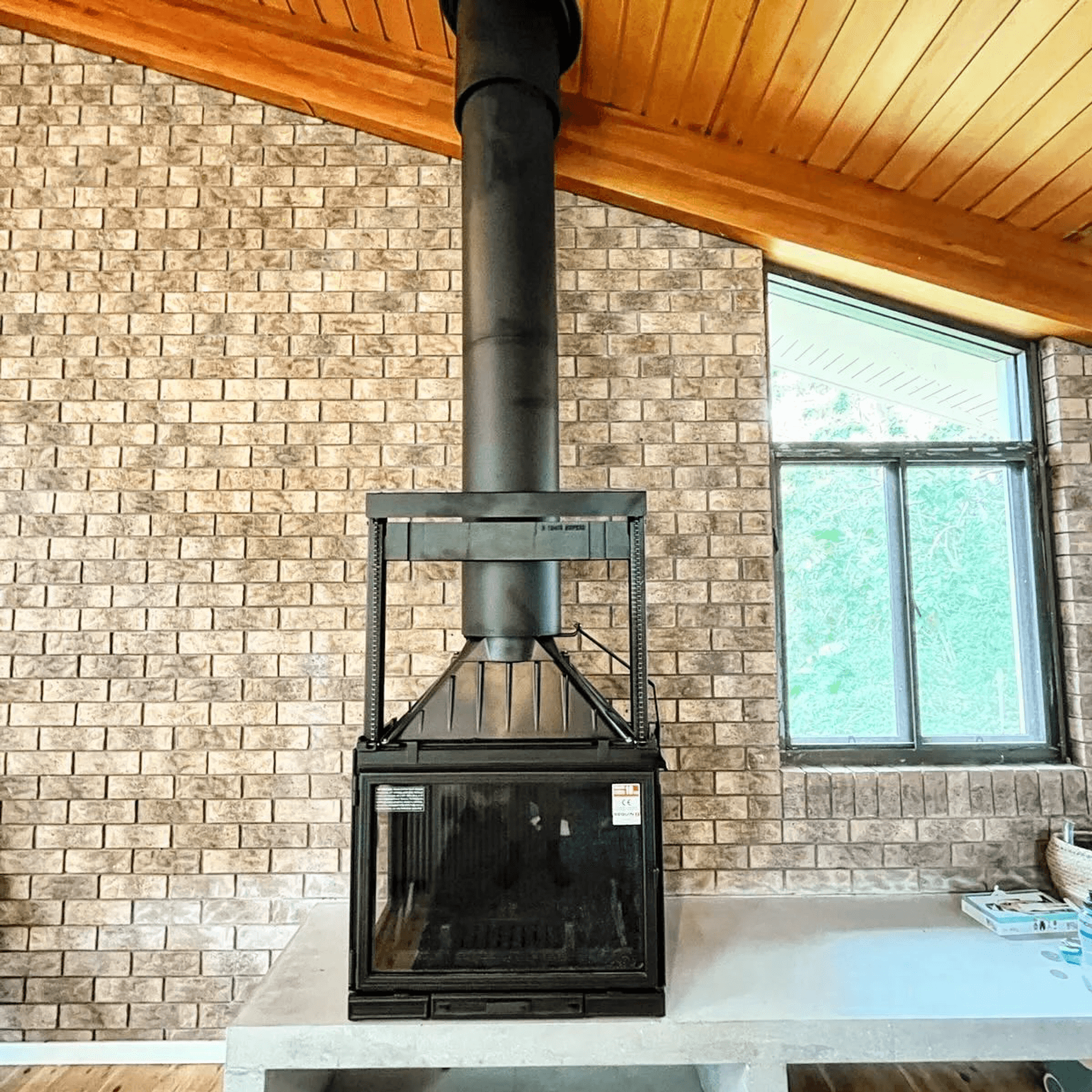 Seguin Multivision 8000 3V Cast Iron Cheminee Fireplace