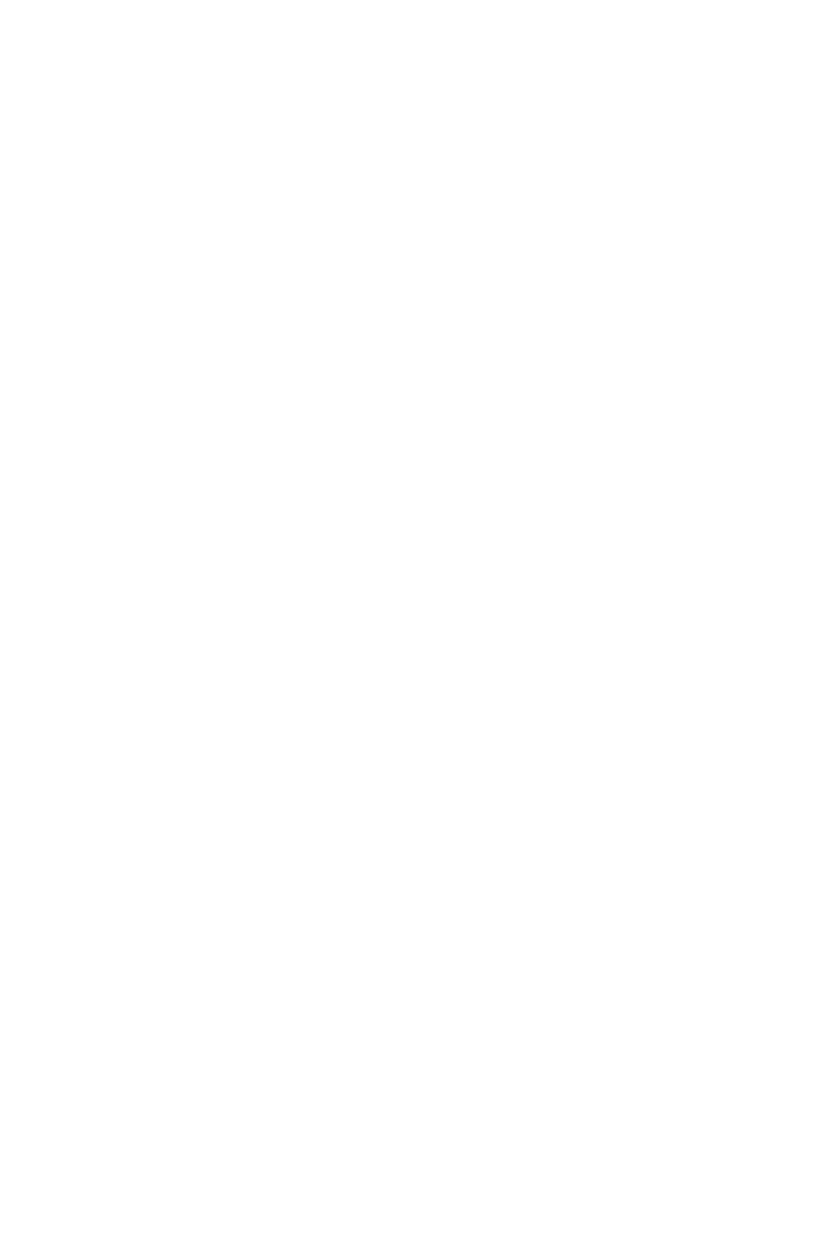 Seguin Saphir Cheminee Stove - Freestanding