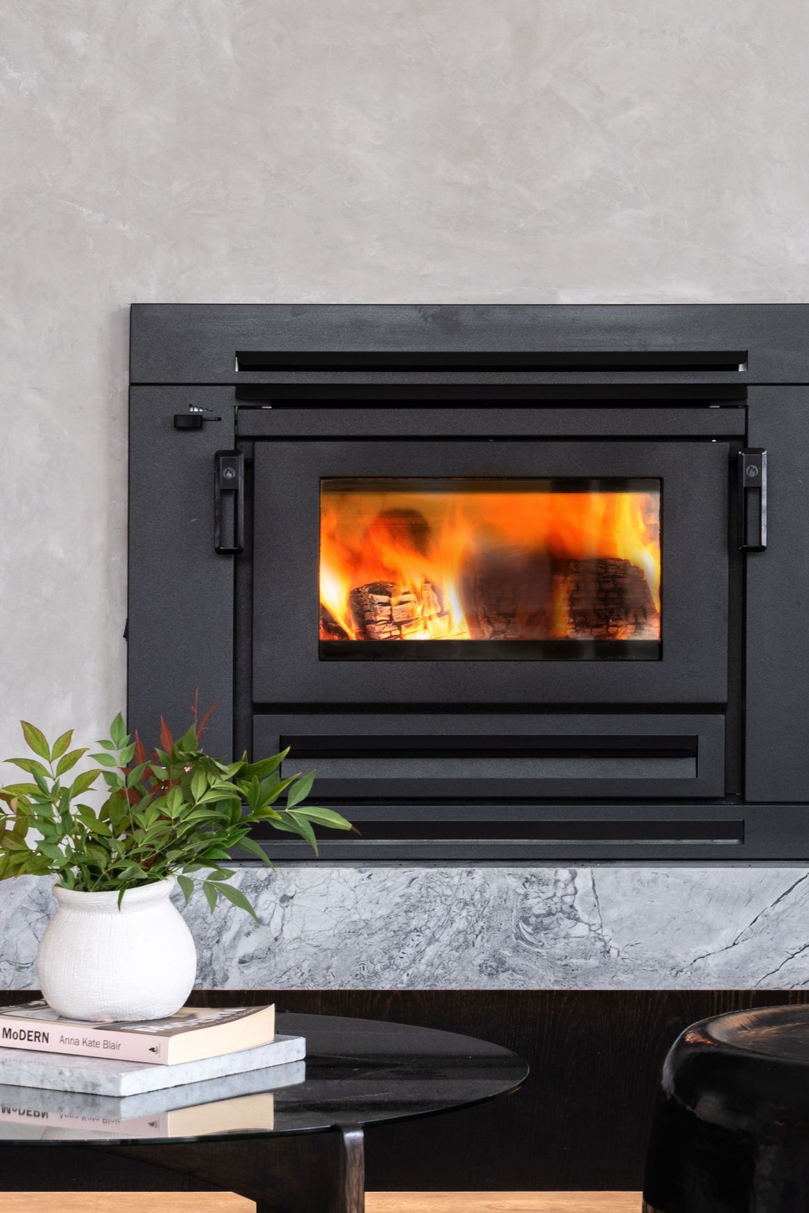 Xander Insert Wood Burner Fireplace