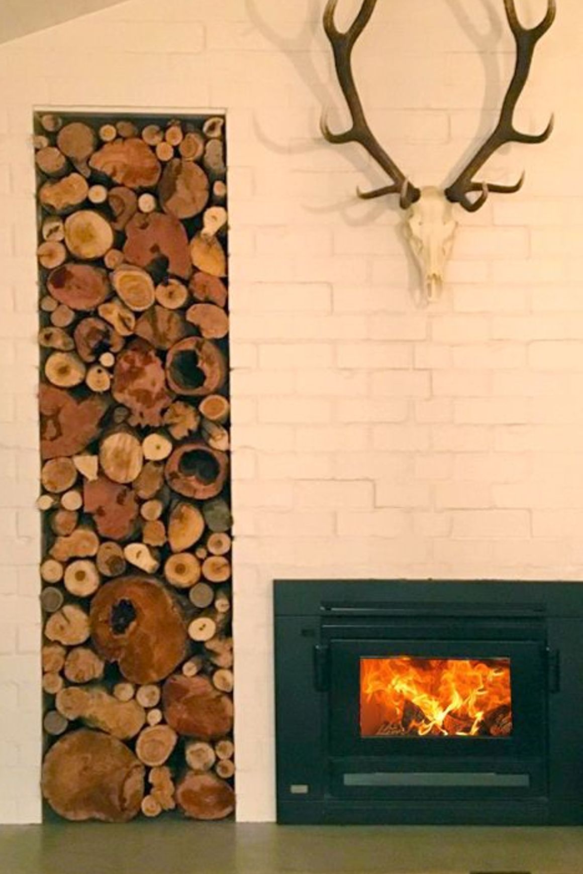 Xander Insert Wood Burner Fireplace