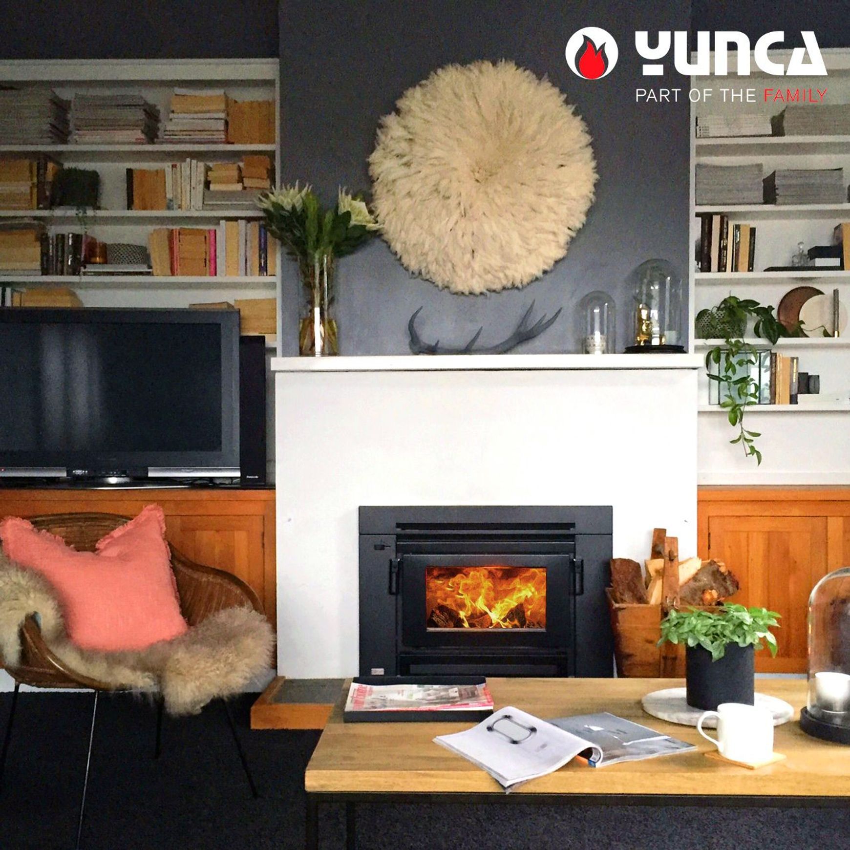 Xander Insert Wood Burner Fireplace