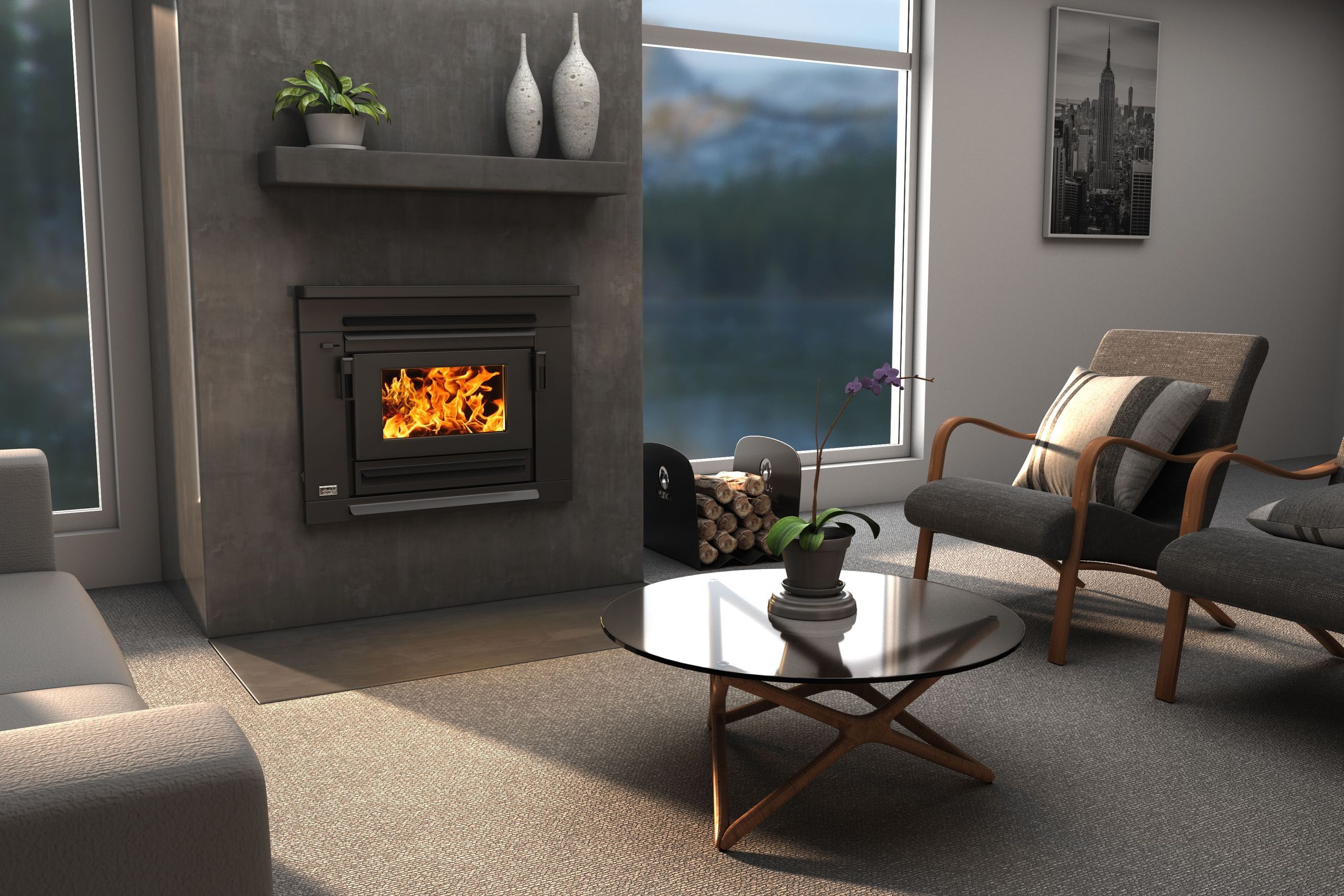 Xander Insert Wood Burner Fireplace