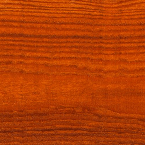 Elm Dryden WoodOil