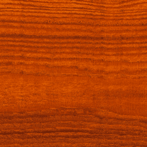 Elm Dryden WoodOil