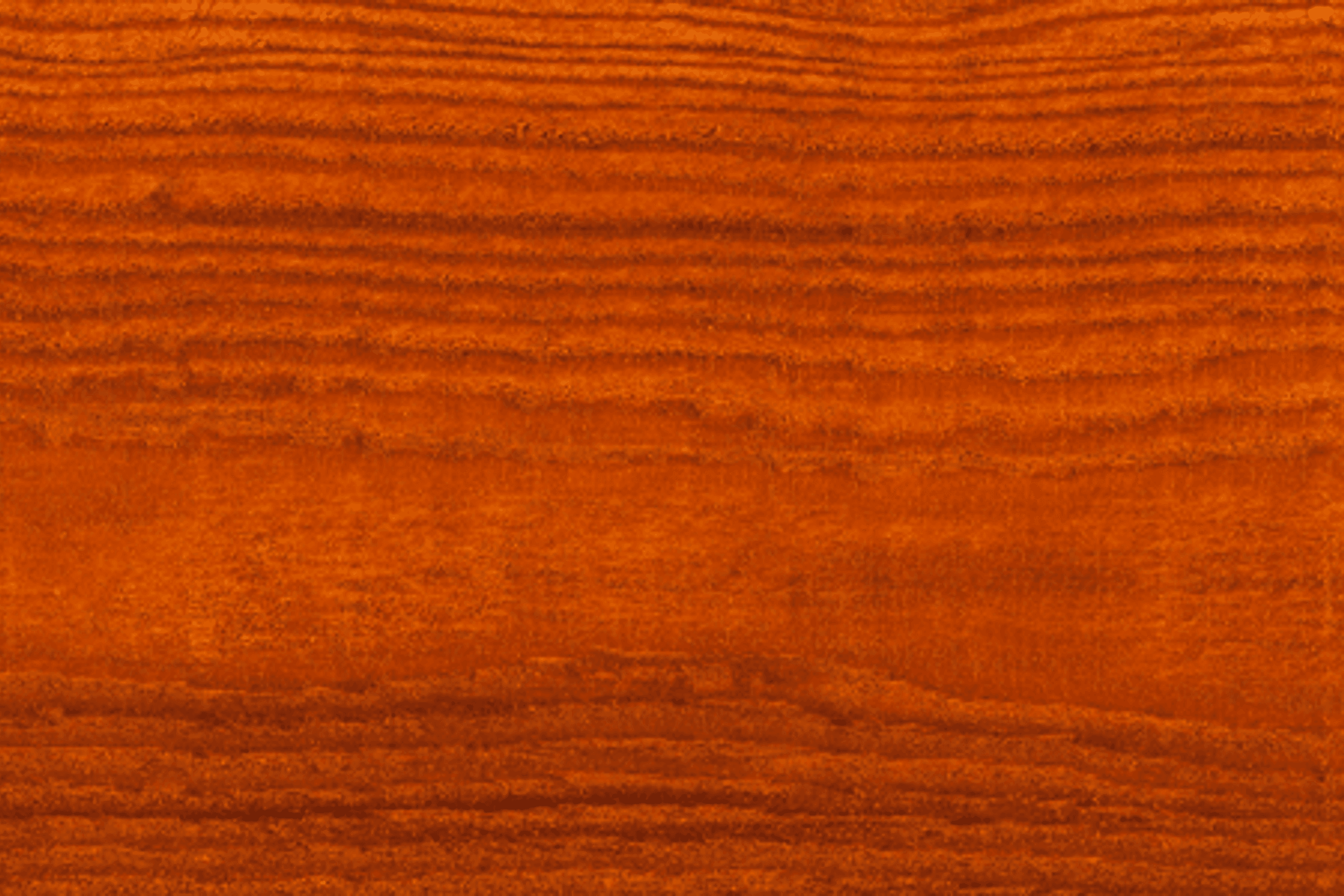 Elm Dryden WoodOil