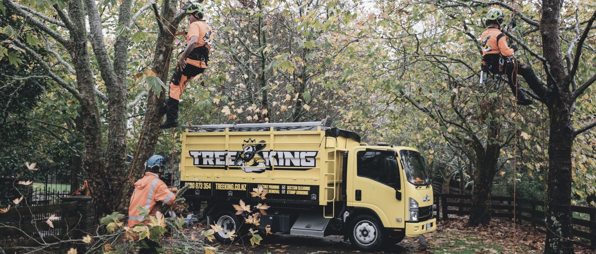 Tree King Banner image