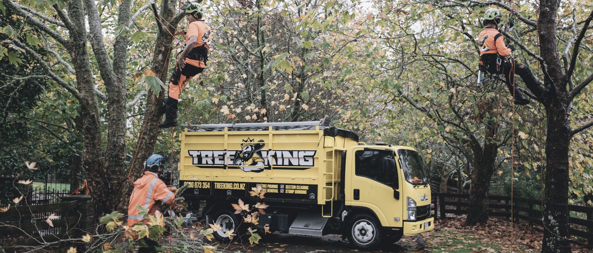Hero Banner for Tree King