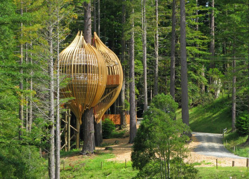 Pacific Environments Architects