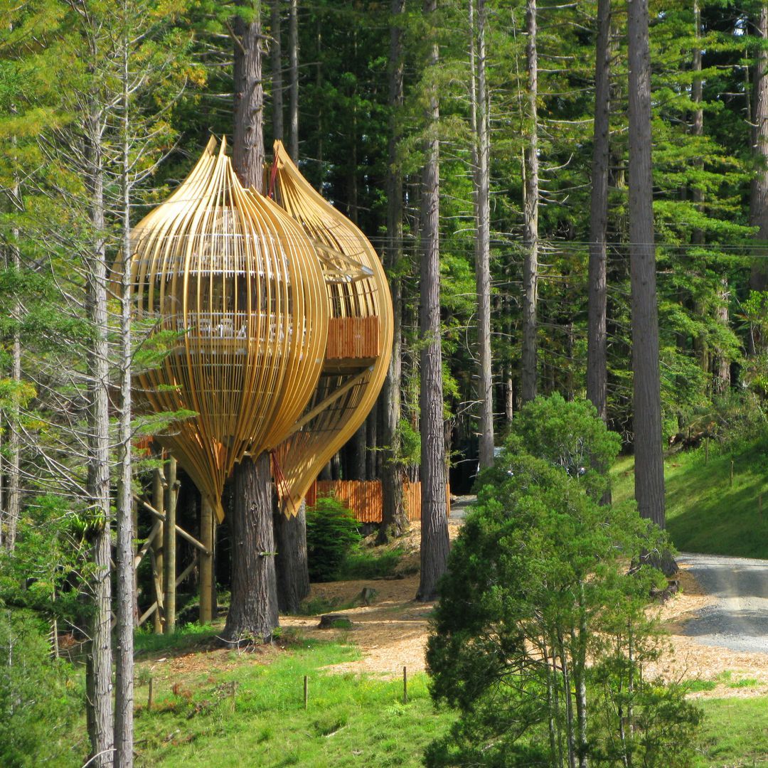 Pacific Environments Architects