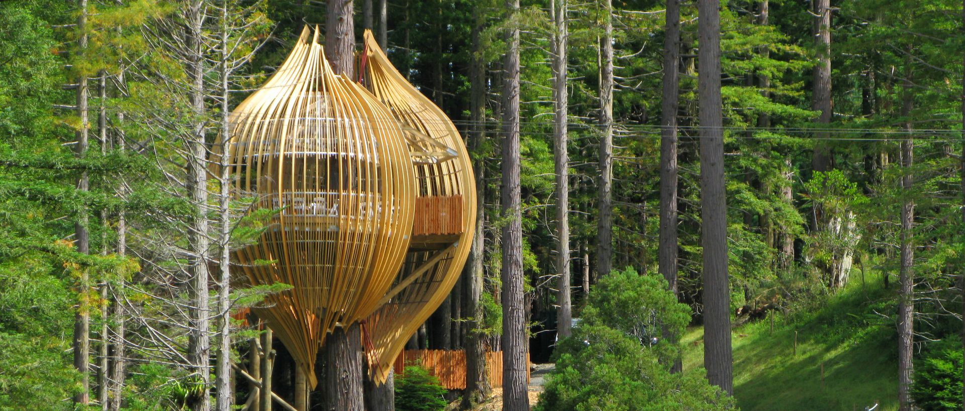 Supporting Image 2 for Pacific Environments Architects