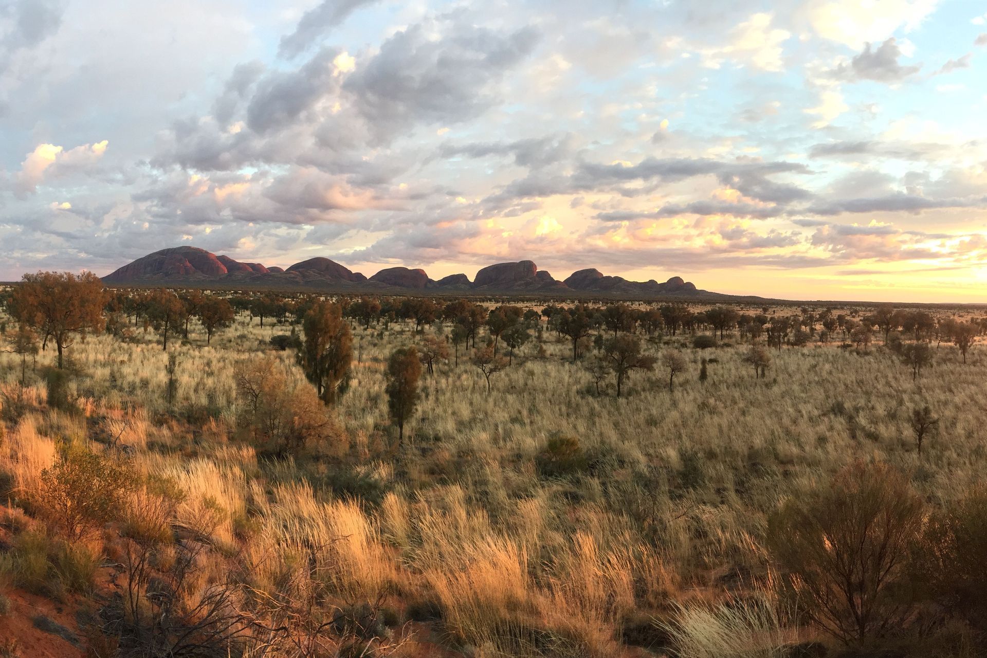 Hero Banner for Gaea Architects