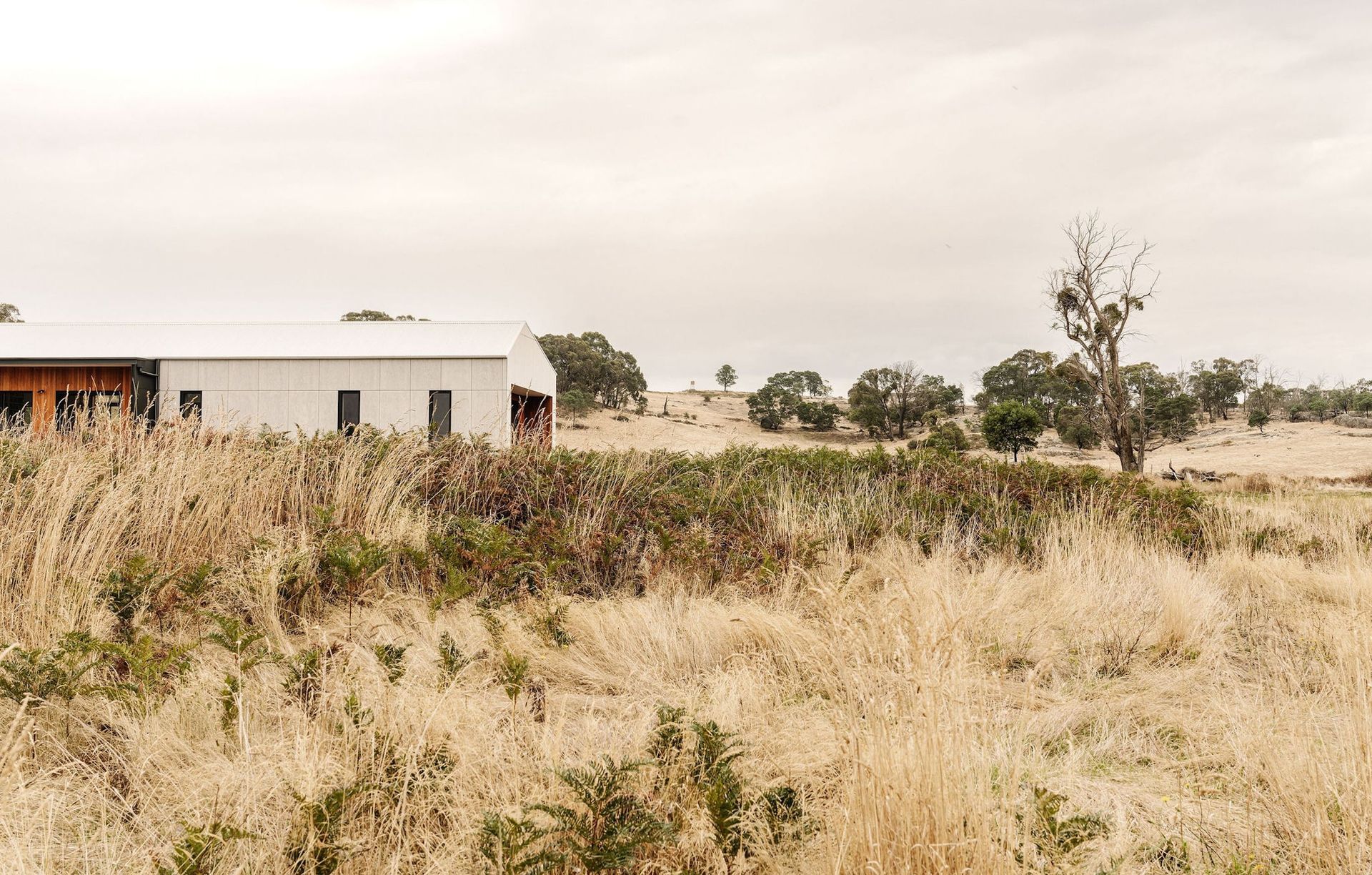 Envirotecture