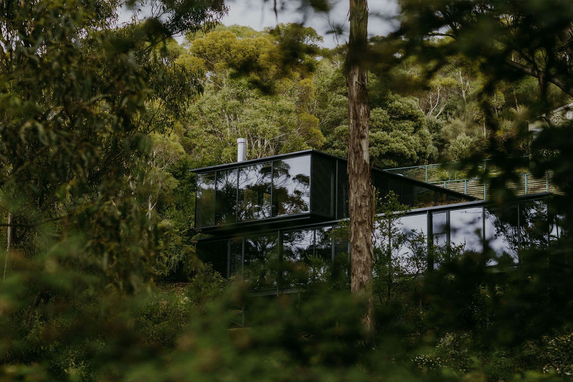 Supporting Image 1 for Candour