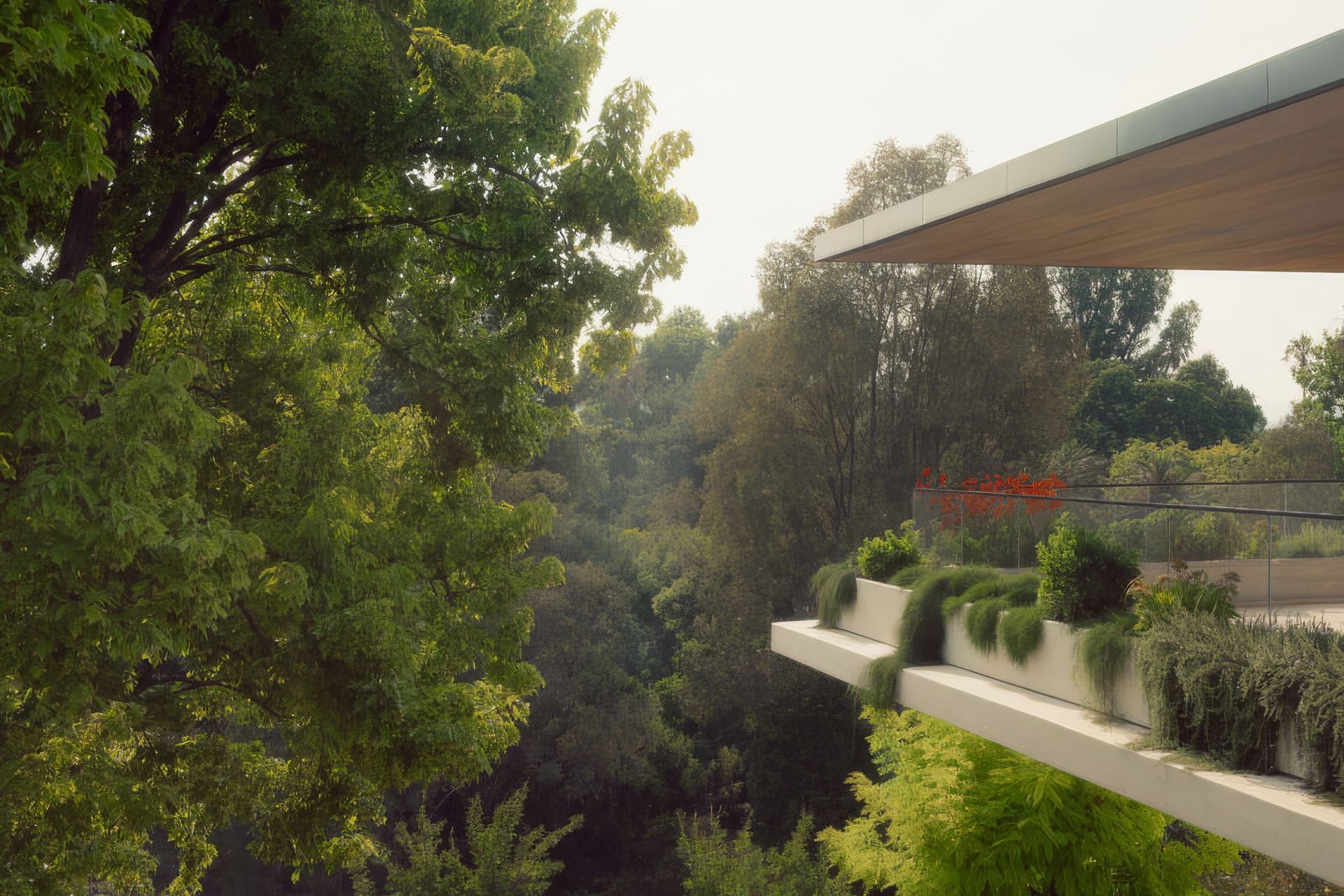 Supporting Image 2 for Rob Mills Architecture & Interiors