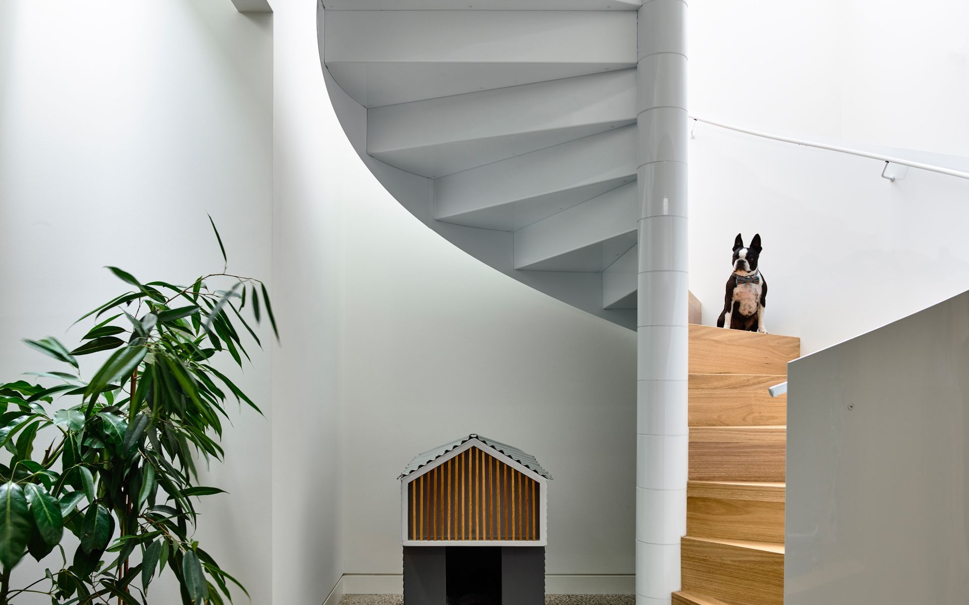 Supporting Image 1 for Sonelo Architects