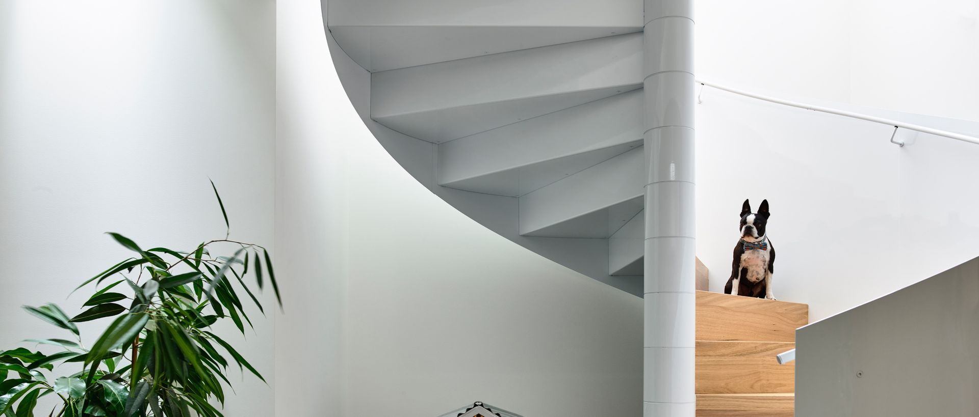 Supporting Image 1 for Sonelo Architects
