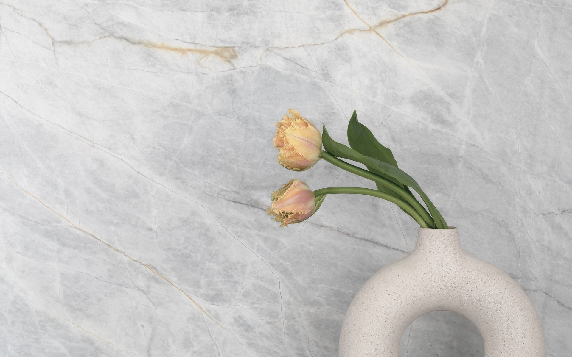 Supporting Image 3 for Bonnie Mills Architecture + Interiors