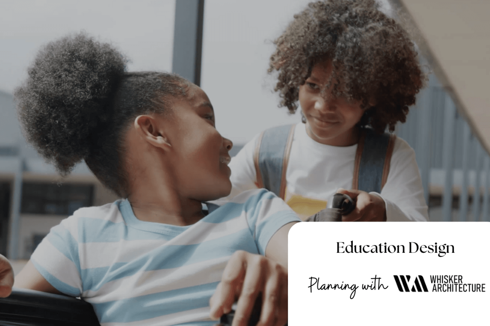 School Design | Whisker Architecture