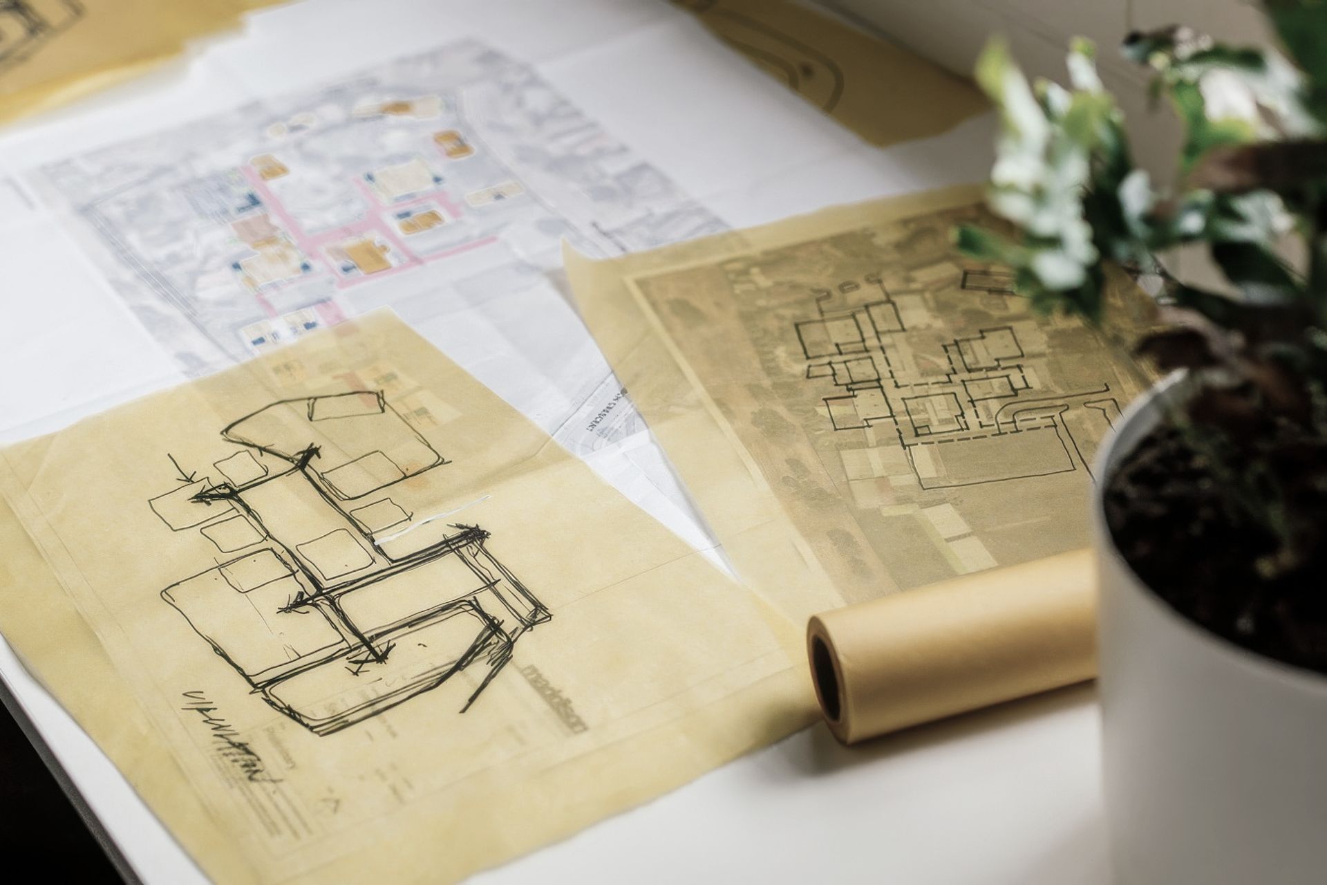 Maddison Architects banner