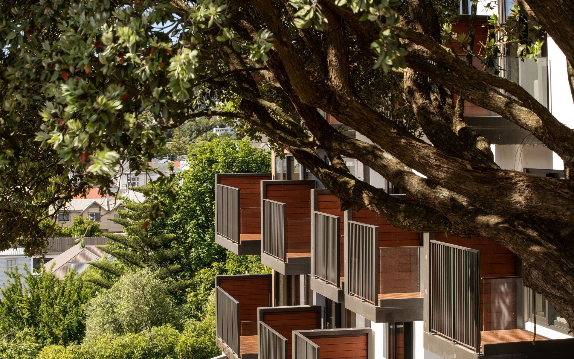 Supporting Image 1 for Archaus Architects