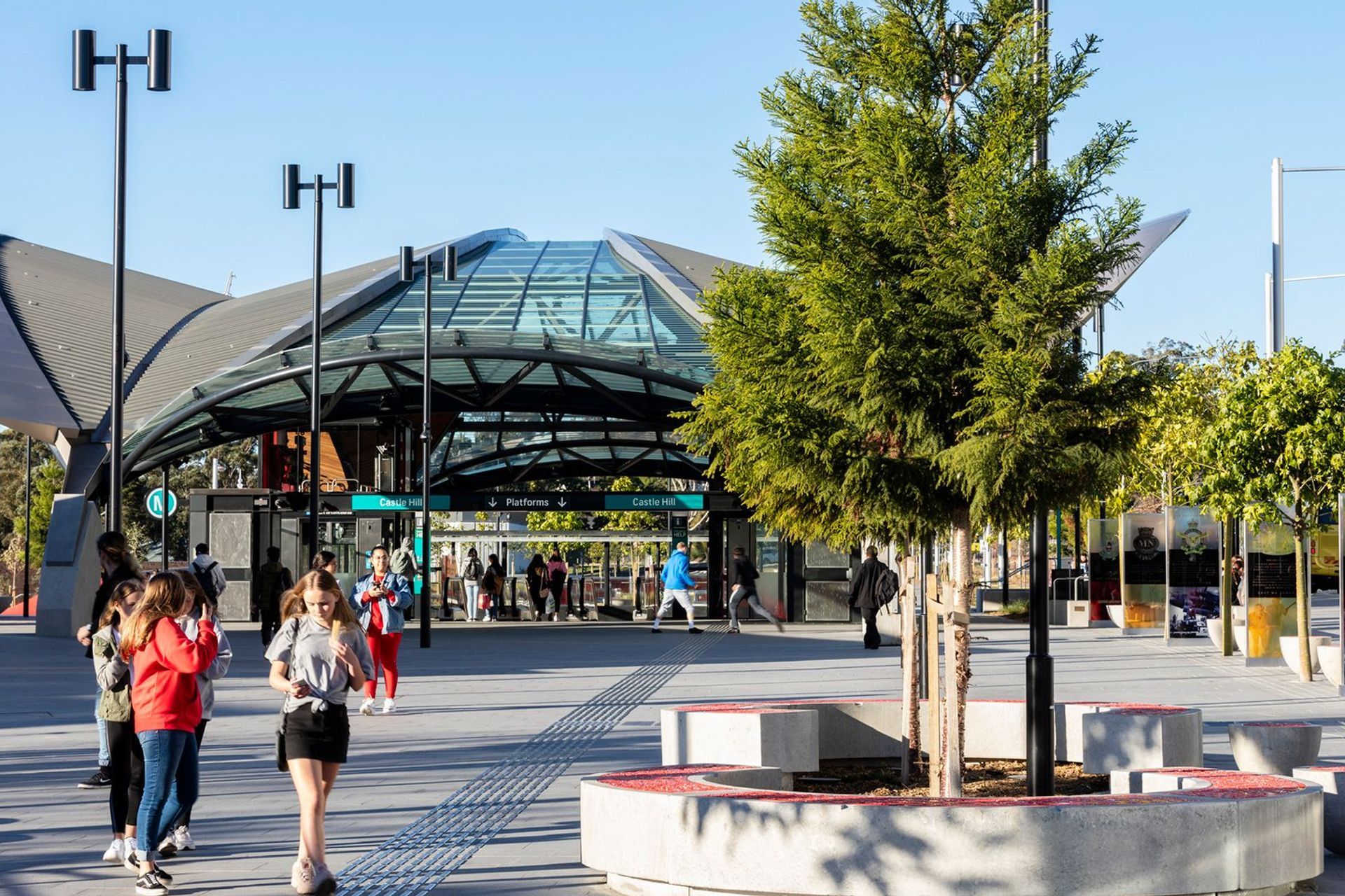 Supporting Image 2 for Hassell