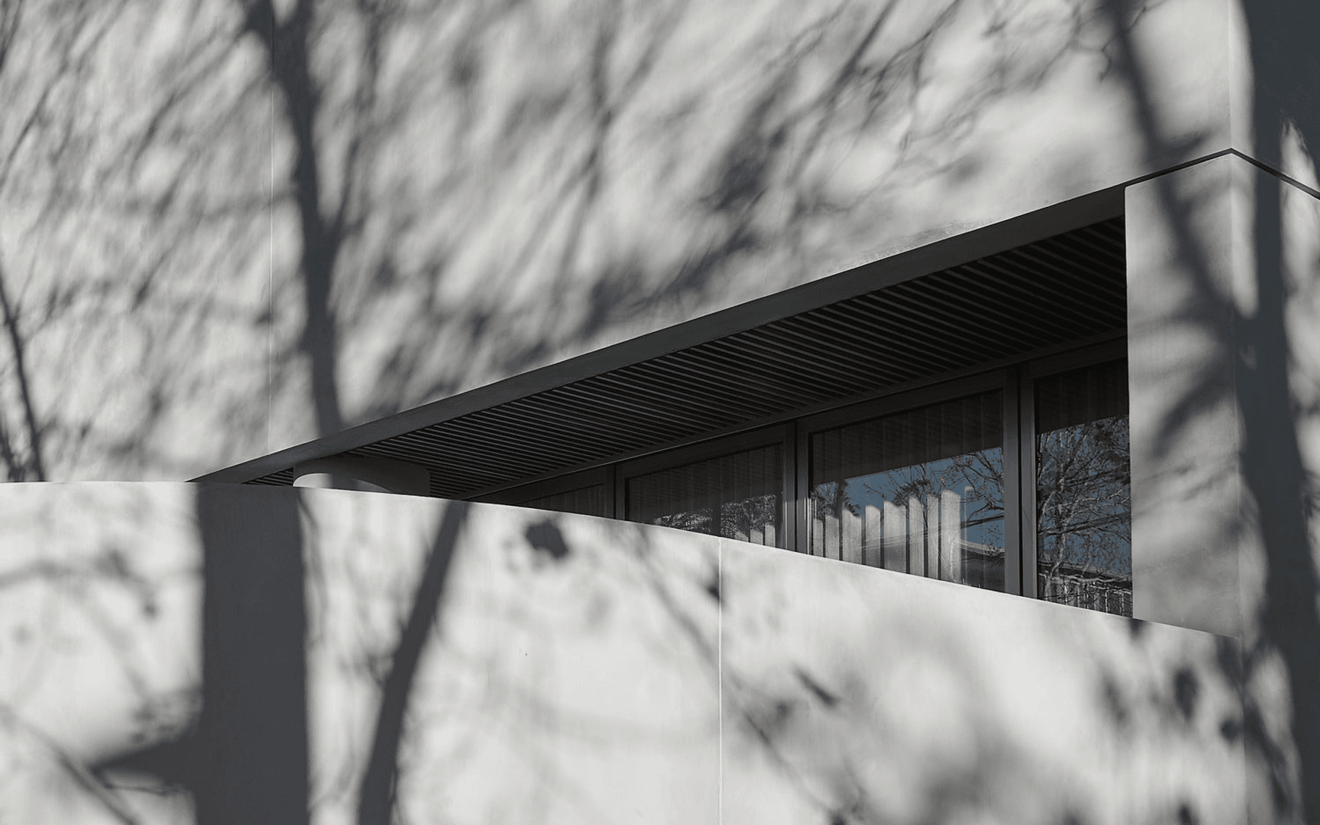 Supporting Image 4 for Davidov Architects
