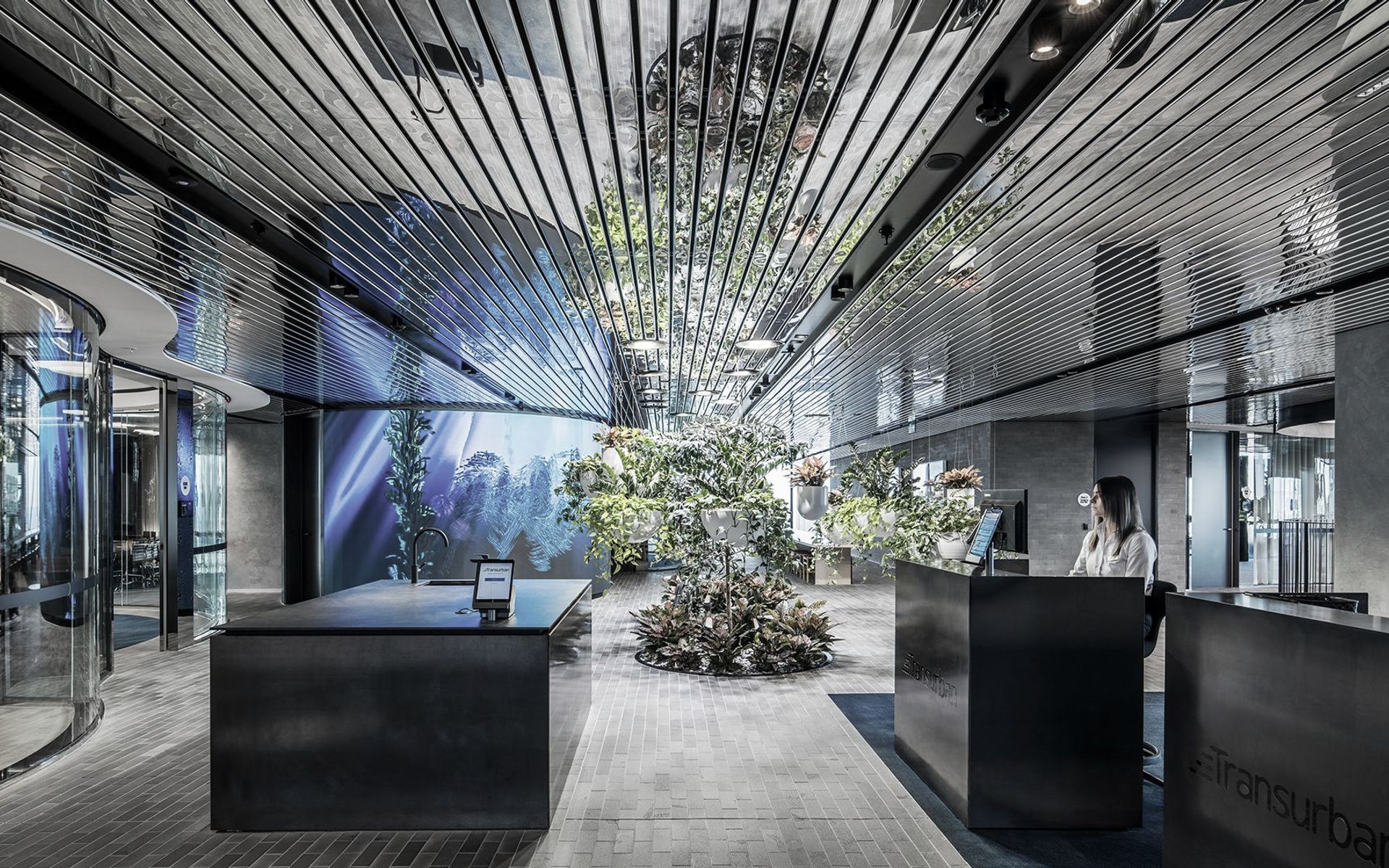 Supporting Image 1 for Hassell
