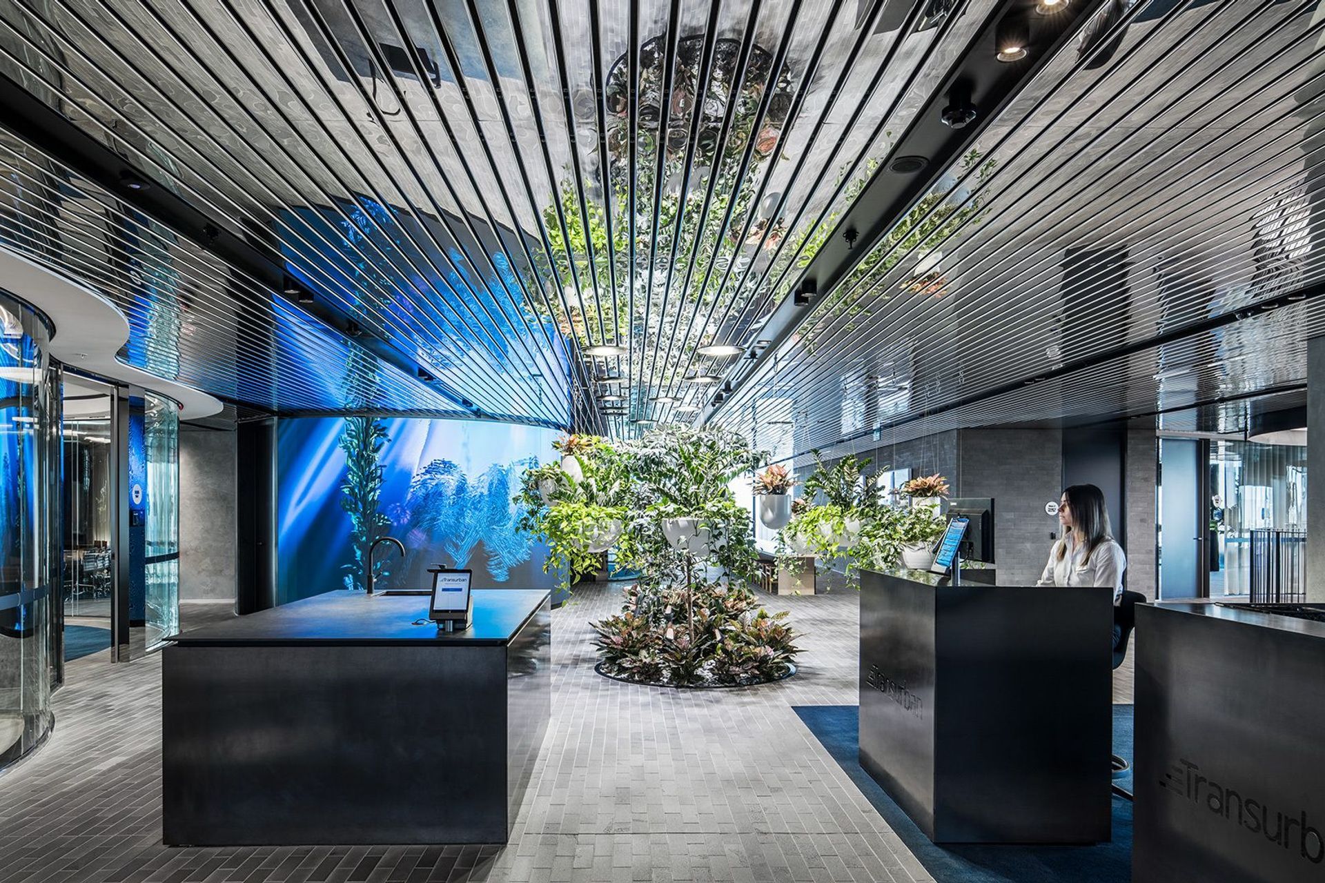 Supporting Image 1 for Hassell