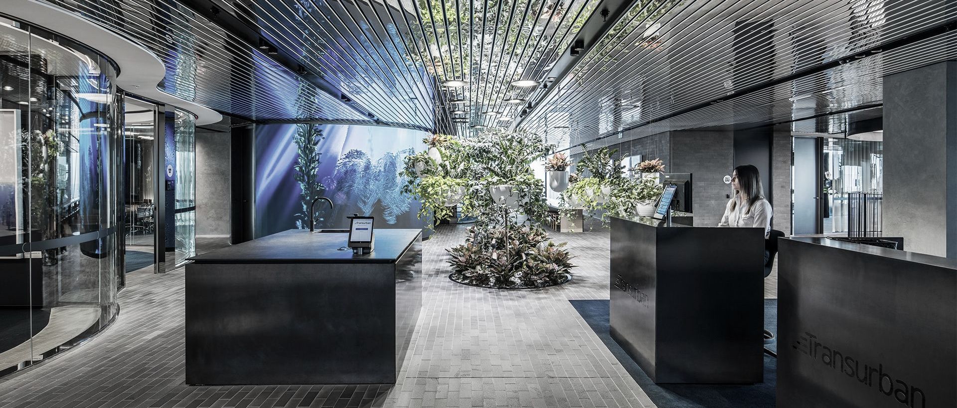 Supporting Image 1 for Hassell
